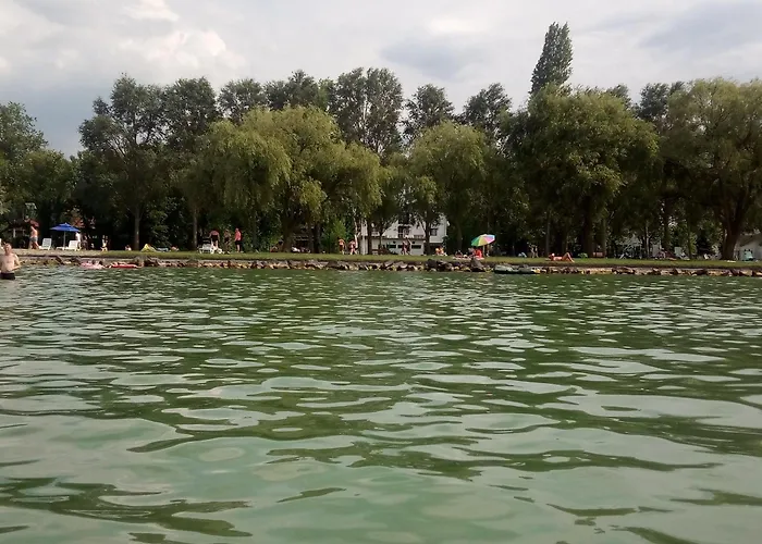 Sirály * Balatonlelle